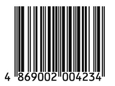 4869002004234