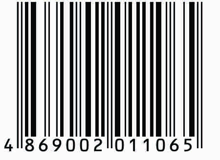 4869002011065