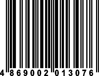 4869002013076